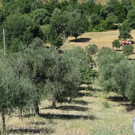 Nonnogennaro * Matonti