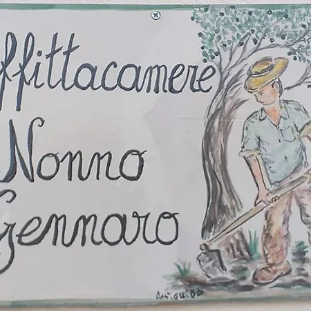 Apartment Nonnogennaro *